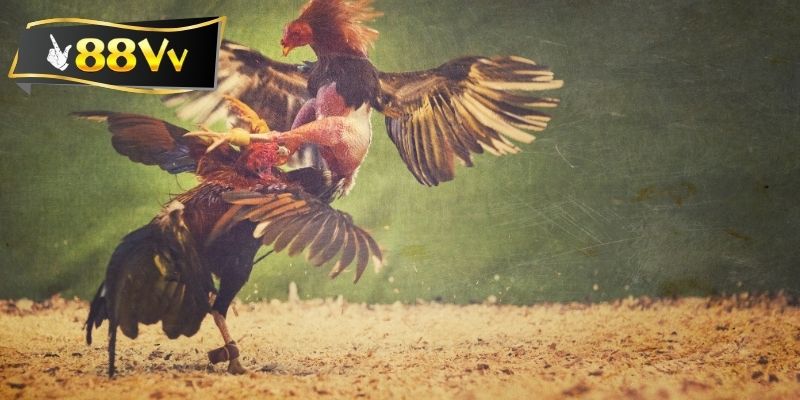 Cân bằng giữa lịch thi đấu và nghỉ ngơi